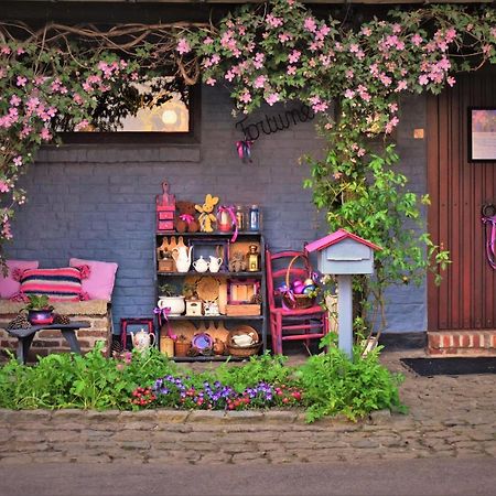 Maison Jeanny, Full House With Big Garden Frasnes-lez-Anvaing Exteriör bild