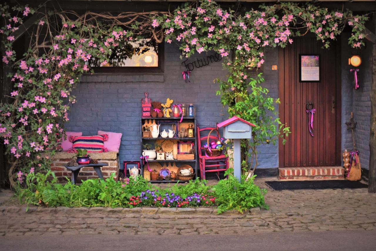 Maison Jeanny, Full House With Big Garden Frasnes-lez-Anvaing Exteriör bild