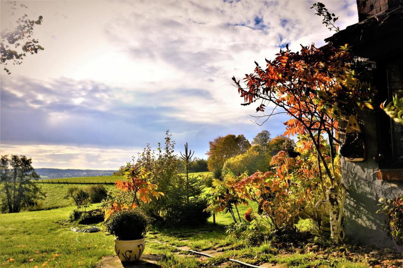 Maison Jeanny, Full House With Big Garden Frasnes-lez-Anvaing Exteriör bild