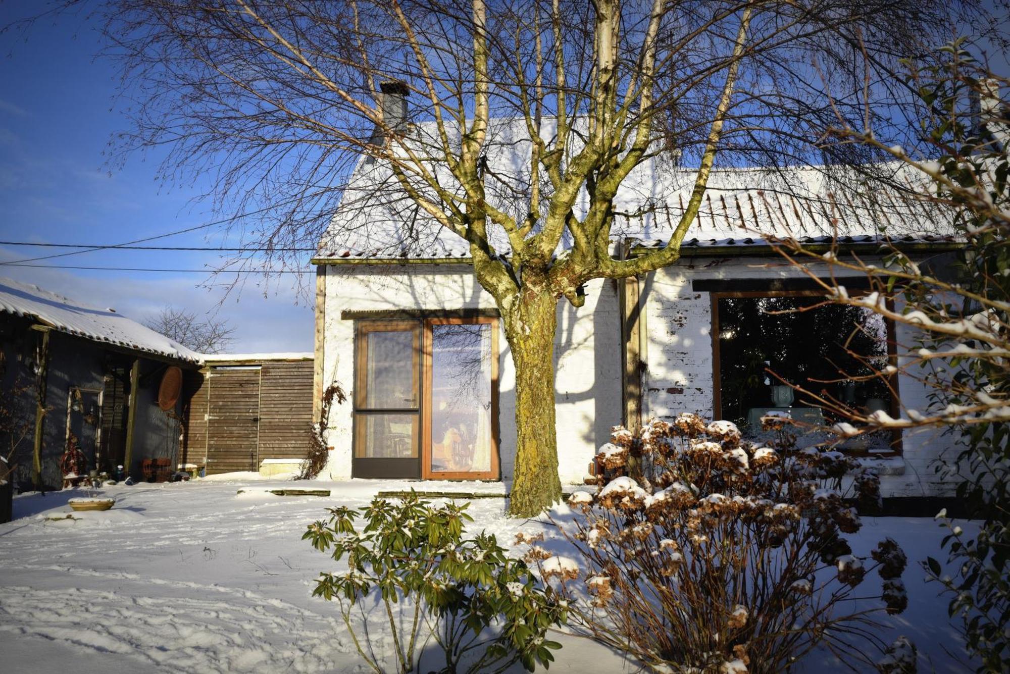 Maison Jeanny, Full House With Big Garden Frasnes-lez-Anvaing Exteriör bild