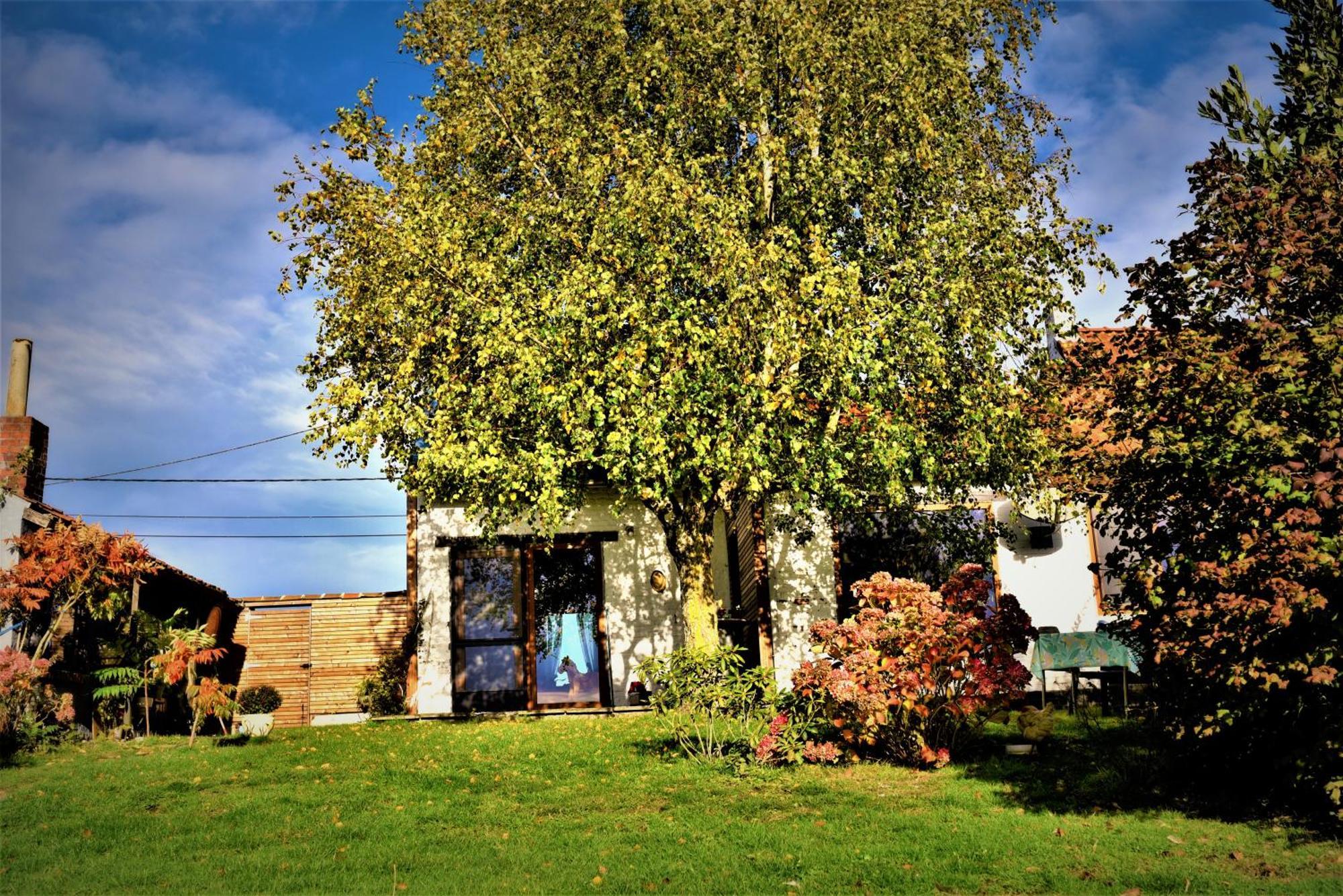 Maison Jeanny, Full House With Big Garden Frasnes-lez-Anvaing Exteriör bild